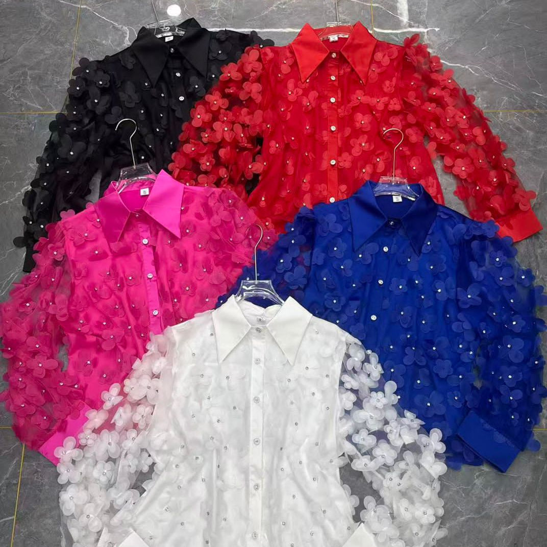 Bloom Luxe Appliqué Blouse Set